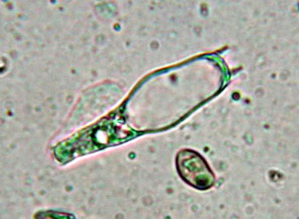 Quiz.z.z.z.z.z......